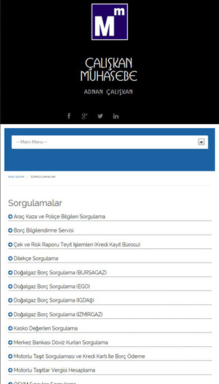 Muhasebe Websitesi Paketi